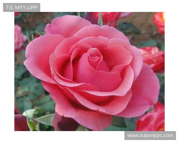 开运入口:开启好运的神奇门径助你迎来人生新转折 开运入口:开启好运的神奇门径助你迎来人生新转折