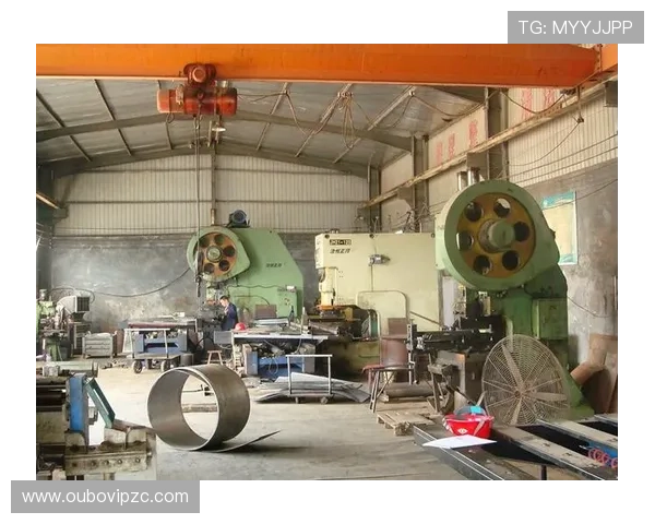 欧博官方登录网址官方入口指南，详细介绍登录步骤与注意事项